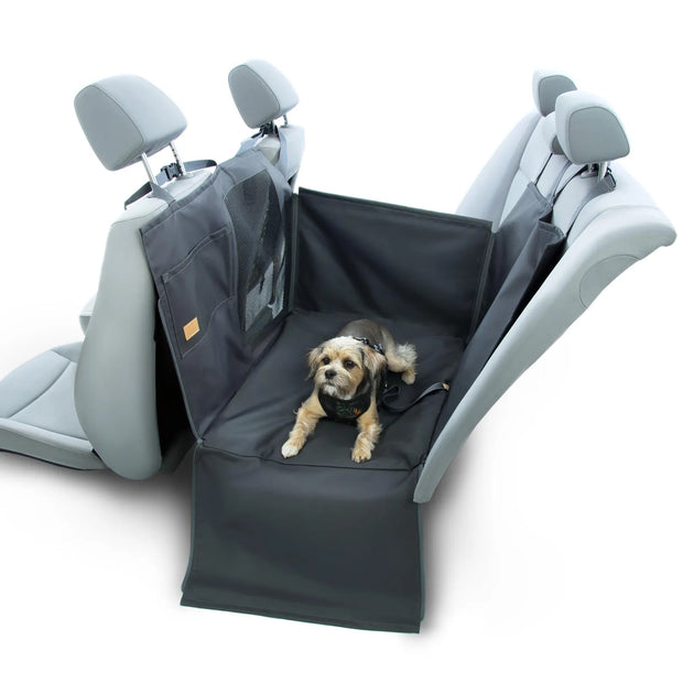 puppely foto2.webp__PID:003fb695-8cf1-4fc6-b584-863d8167528d